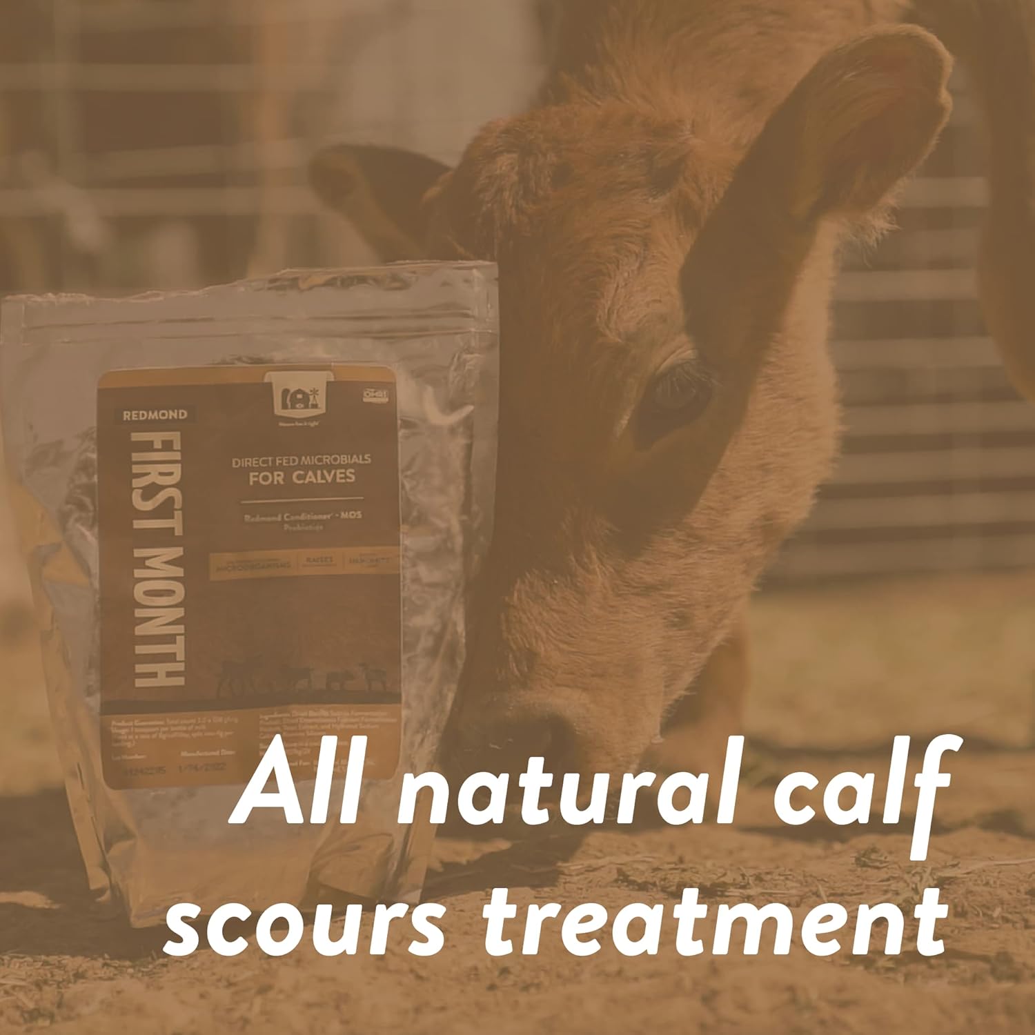 Redmond First Month - Calf Immune Stimulator And Scour Treatment - 10Lbs : Pet Supplies