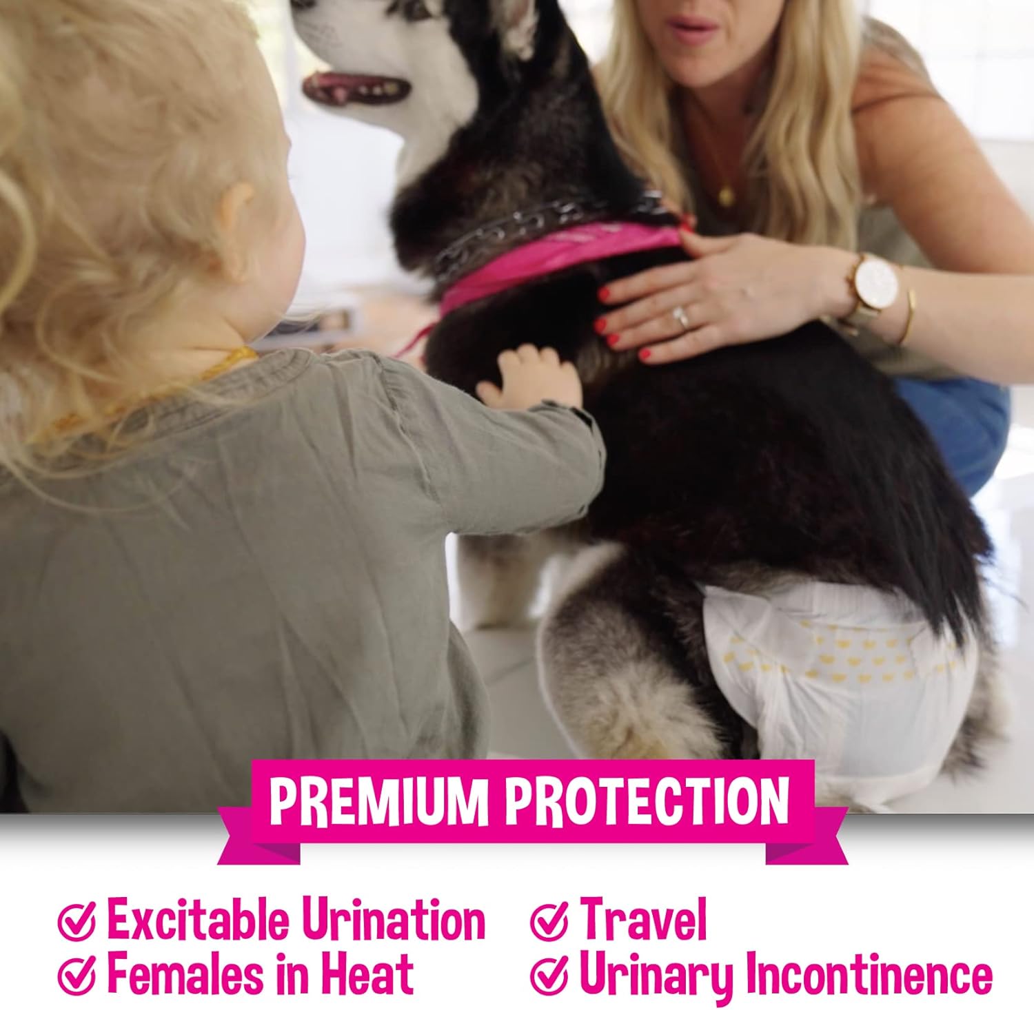 Bodhi Dog Disposable Female Dog Diapers | Super Absorbent Leak-Proof Fit | Premium Adjustable Dog Diapers with Moisture Control & Wetness Indicator | 20 Count Medium Size. : Pet Supplies
