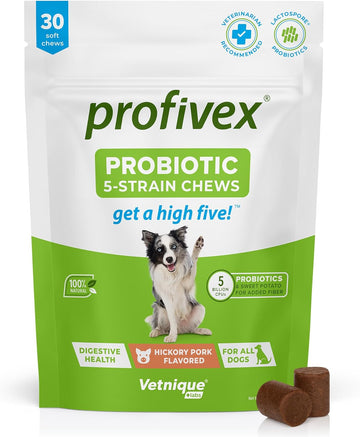 Vetnique Labs Profivex Probiotics for Dogs All Natural Dog Chews & Powder for Digestive Health Probiotic Supplements for Dogs 5 Strains of Probiotics & Prebiotics (Soft Chews, 30ct)