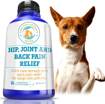Healthy Animals 4 Ever Arthritis Remedy for Dogs - Restore Energy & Vitality - Support Hip & Joint Health - Minimize Pain - All-Natural, Non-GMO, Organic - Preservative & Chemical Free - 300 ct