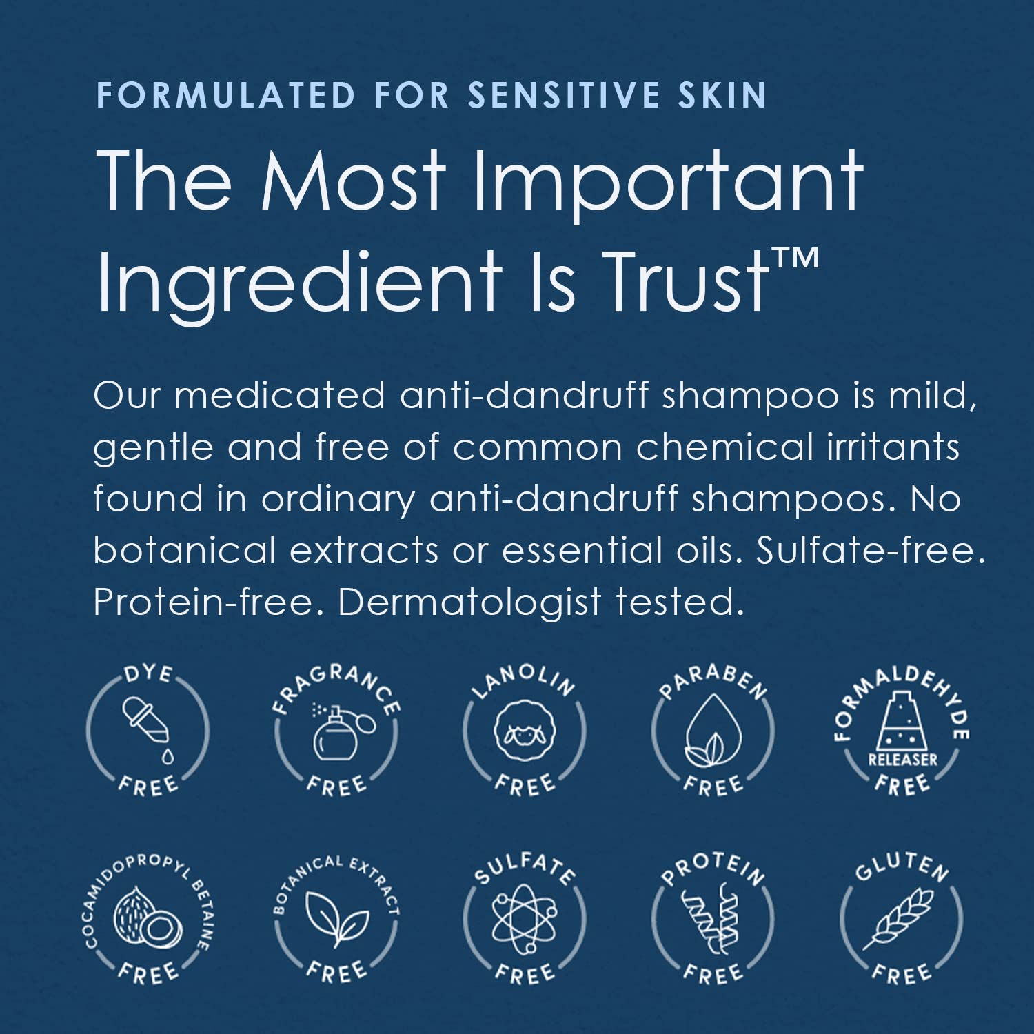 Vanicream Dandruff Shampoo – pH Balanced Mild Formula Effective For All Hair Types and Sensitive Scalps - Free of Fragrance, Lanolin, and Parabens – 8 Fl Oz : Everything Else