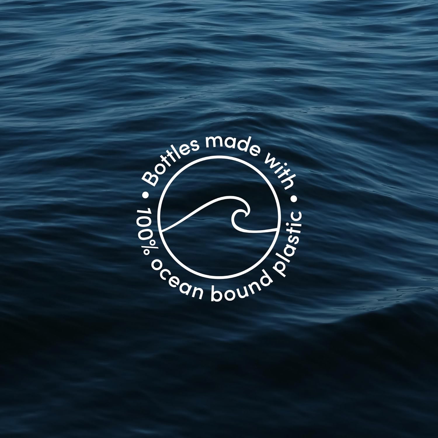 Lather Coastal Coconut & Sea Moss Body Moisturizer | Deep Hydration & Nourishing Skin Care | Paraben & Sulfate-Free | Lightweight & Fast-Absorbing | Suitable For All Skin Types | 12 Oz : Beauty & Personal Care