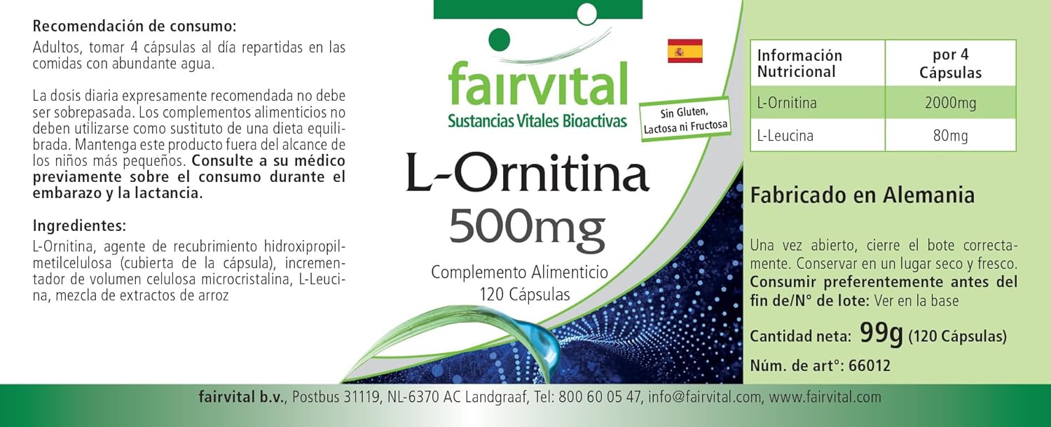 Fairvital | L-ornithine 500mg - VEGAN - HIGH DOSAGE - 120 capsules - amino acid : Amazon.co.uk: Health & Personal Care