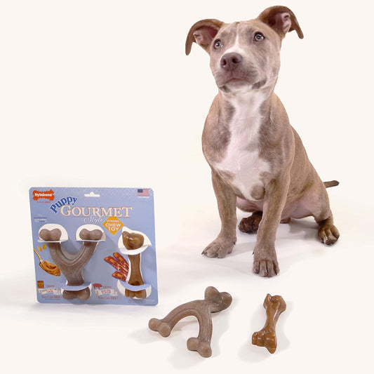 Nylabone Puppy Gourmet Style Strong Chew Toy Bacon, Peanut Butter Small/Regular (2 Count)