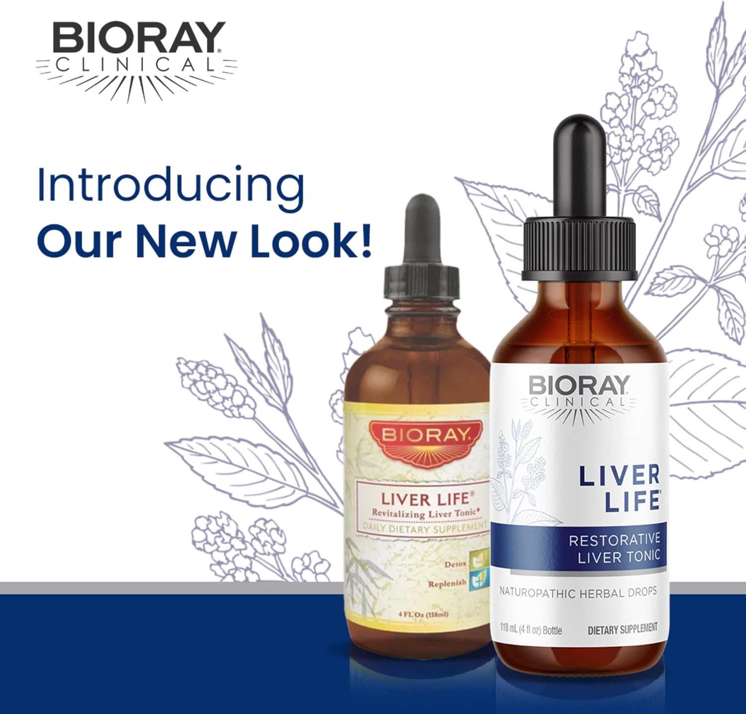 Bioray Clinical Liver Life - 4 Fl Oz - Strengthens Liver Structure & Function - Non-Gmo, Vegetarian, Gluten Free : Health & Household