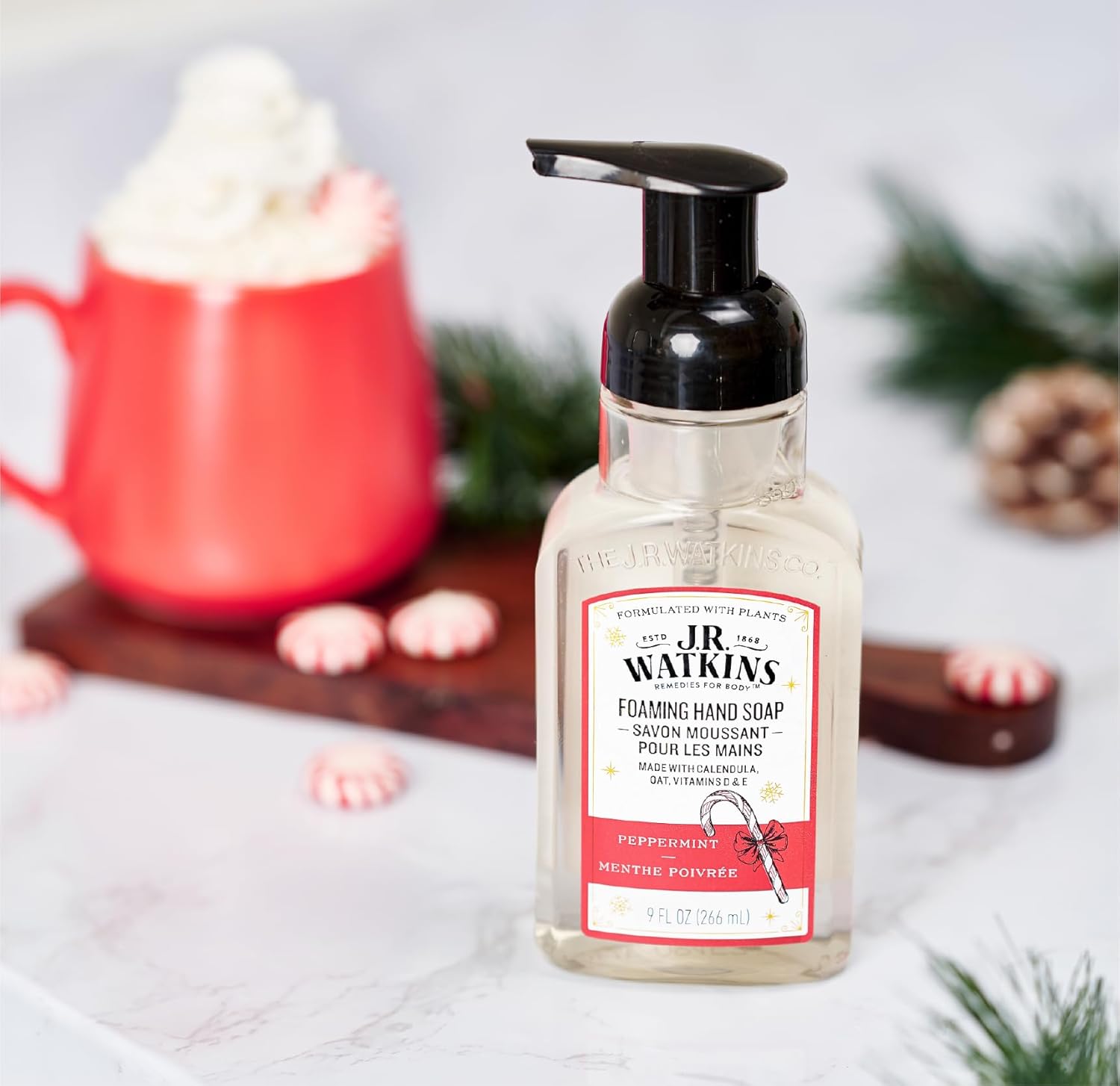 J.R. Watkins Foaming Hand Soap with Pump Dispenser, Moisturizing Foam Hand Wash, All Natural, Alcohol-Free, Cruelty-Free, USA Made, Peppermint, 9 fl oz, 3 Pack : Beauty & Personal Care