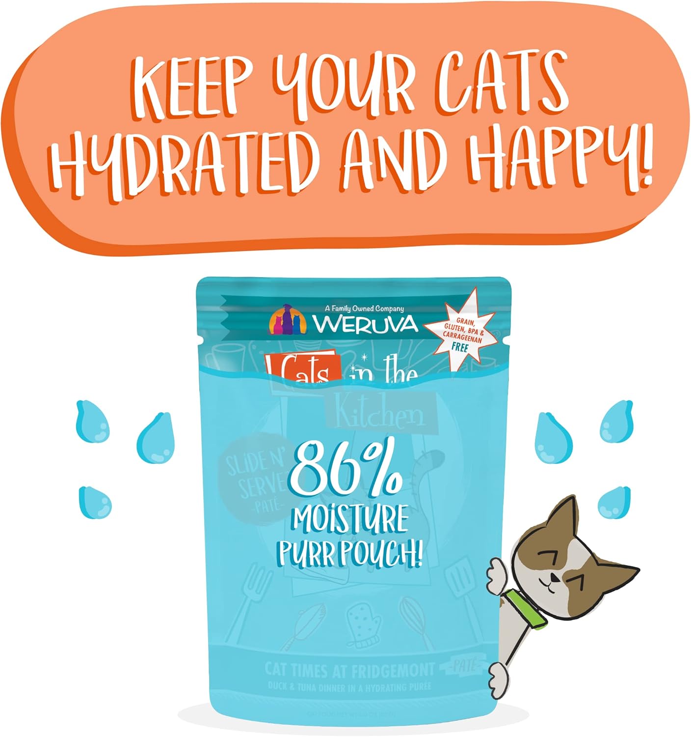 Weruva Cats in The Kitchen Slide N' Serve Grain-Free Natural Wet Pate Cat Food Pouches, Cat Times at Fridgemont, 3oz Pouch (Pack of 12) : Pet Supplies