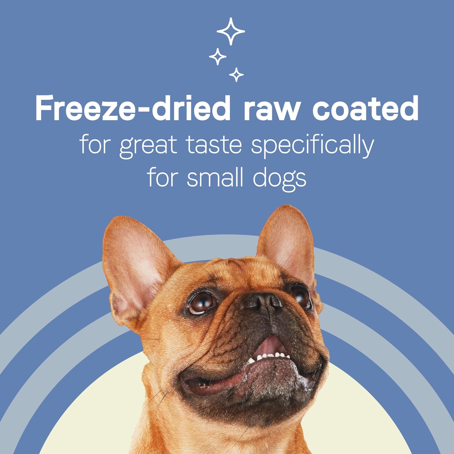 Canidae Pure Petite Freeze-Dried raw coated Recipe with Real Lamb Dog Dry 10 lbs. (Packaging May Vary) : Pet Supplies