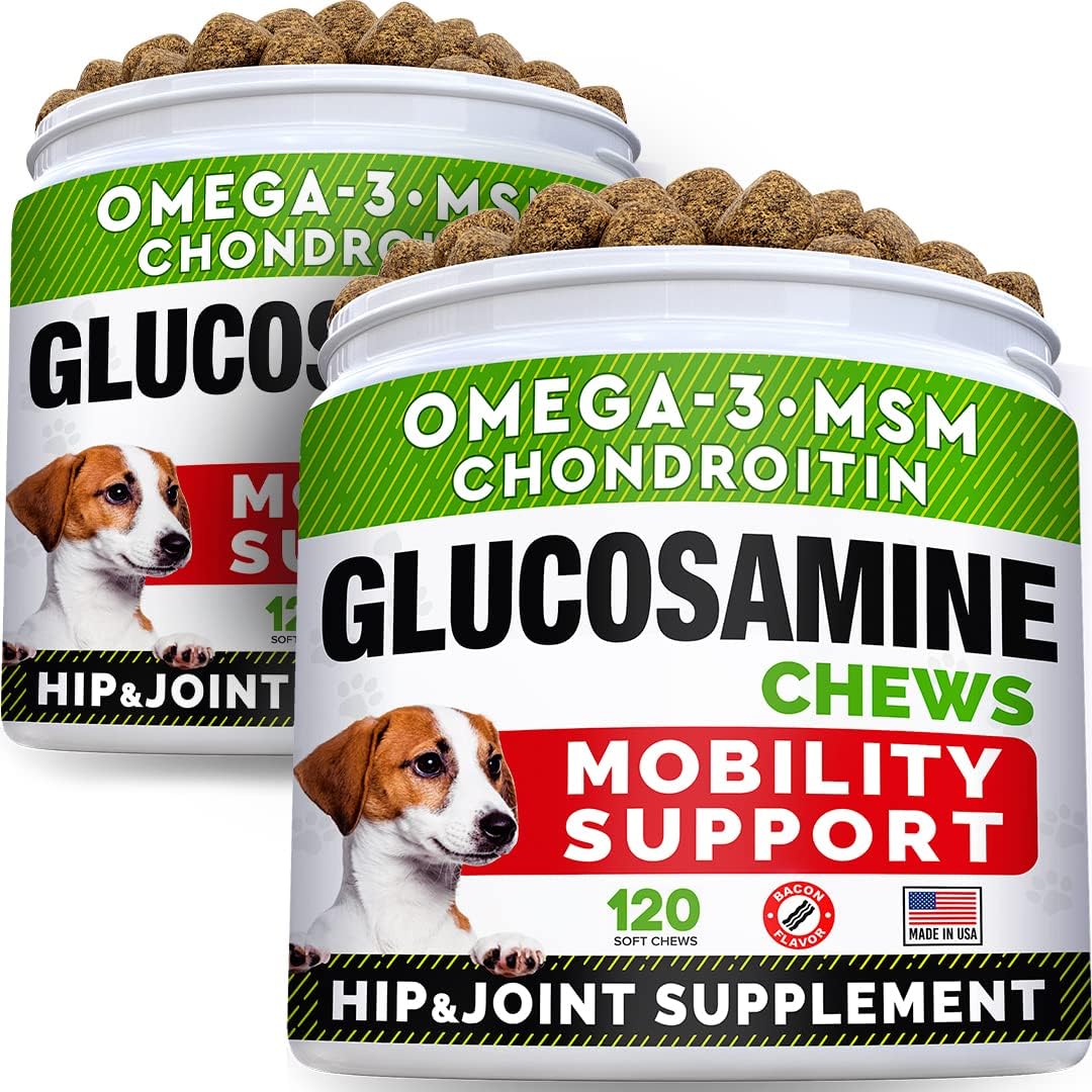 Strellalab Glucosamine Treats For Dogs - Joint Supplement W/Omega-3 Fish Oil - Chondroitin, Msm - Advanced Mobility Chews - Joint Pain Relief - Hip & Joint Care - Bacon Flavor - 240 Ct - Made In Usa