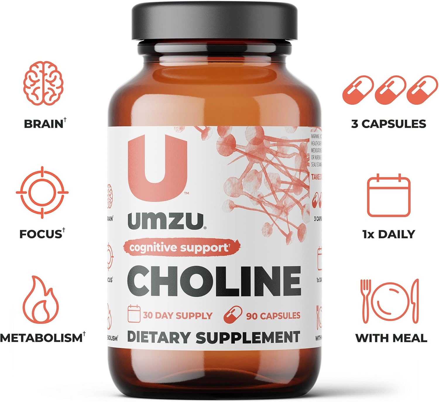 UMZU Choline Supplement for Cognitive and Hormonal Support | Acetylcholine Booster Helps Brain Focus, Memory & Metabolism | Promotes Liver Health & Estrogen Balance (30 Day Supply | 90 Capsules) : Health & Household