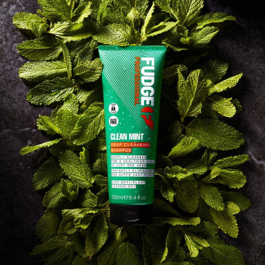 Fudge Clean Mint Shampoo, Deep Cleansing, Clarifying Shampoo, Scalp Care, 5X Stronger Hair, 250 Ml