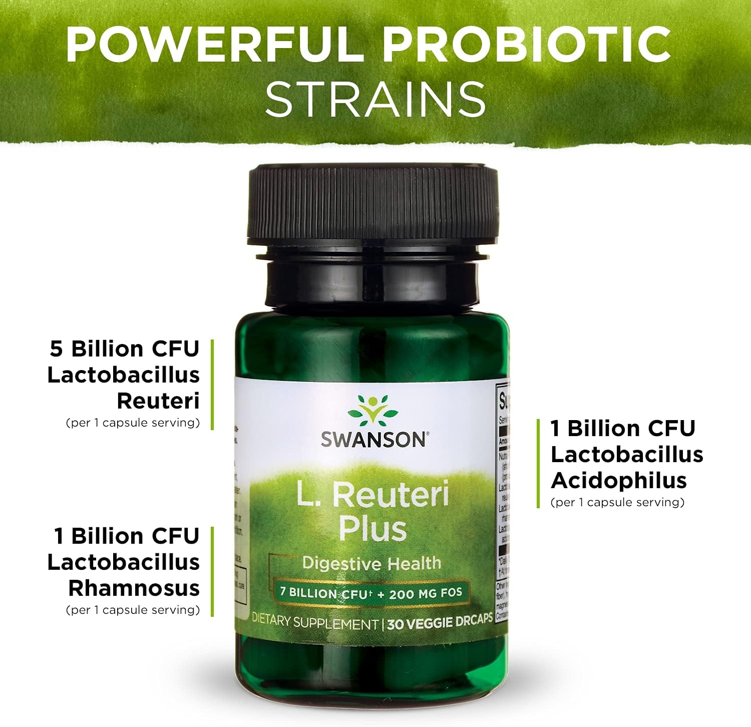 Swanson L. Reuteri Probiotic Plus w/L. Rhamnosus L. Acidophilus & FOS Prebiotic Digestive Support - Promotes Gut Health w/ 7 Billion CFU per Capsule - (30 Veggie Capsules) 2 Pack : Health & Household