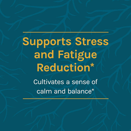 Host Defense, CordyChi Powder, for Stress and Fatigue Reduction, Mushroom Supplement, 100 G