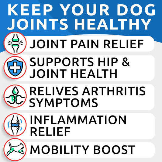 Liquid Glucosamine for Dogs - 16 Fl Oz Easy to Serve Joint Pain Relief Supplement - Advanced Formula with Chondroitin, MSM, Collagen - Hip & Joint Care - Made in USA