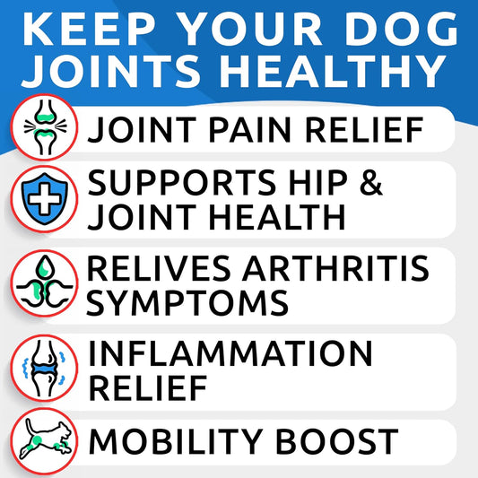 Liquid Glucosamine For Dogs - 16 Fl Oz Easy To Serve Joint Pain Relief Supplement - Advanced Formula With Chondroitin, Msm, Collagen - Hip & Joint Care - Made In Usa