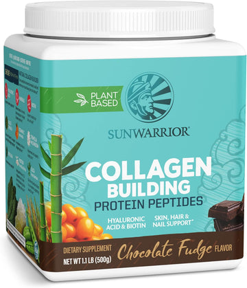 Sunwarrior Vegan Collagen Building Powder Protein Peptide With Biotin Vitamin C Hyaluronic Acid For Hair Skin Nail Dairy Free Gluten Free | Chocolate