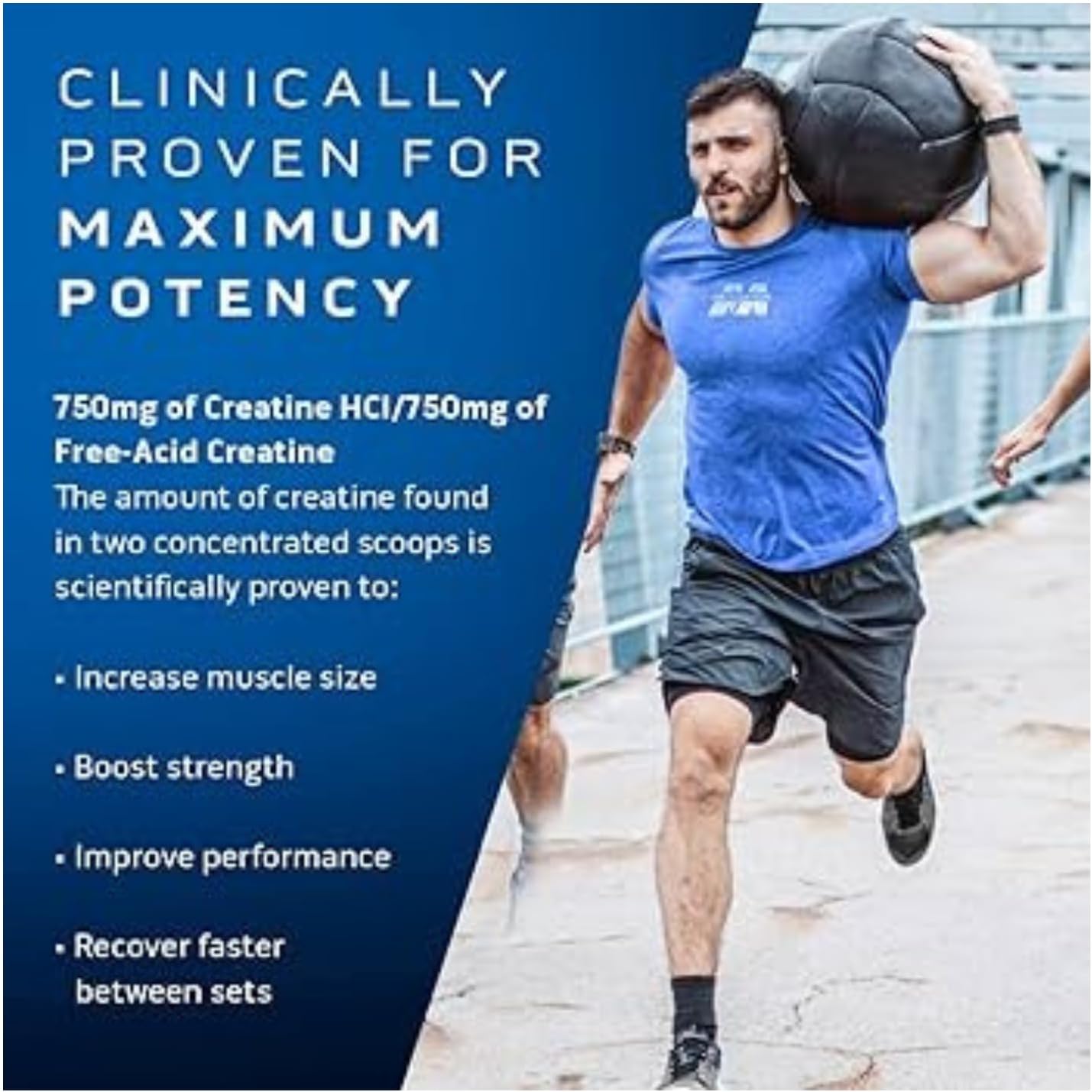 MuscleTech Cell-Tech Creactor - Creatine HCl Formula - Muscle Builder for Men & Women - Creatine HCl + Free-Acid Creatine Supplements - Fruit Punch Extreme, 120 Servings : Health & Household