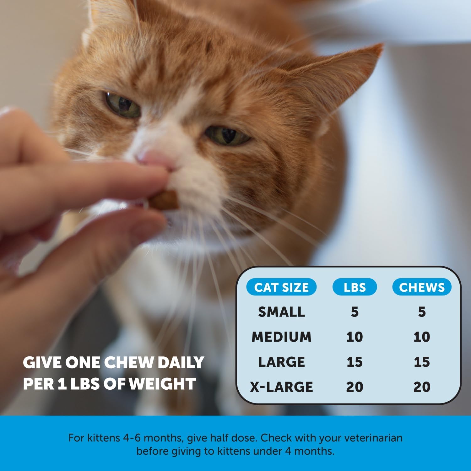 Pet Honesty Cat Skin & Coat Health Chews - Omegas, Vitamin C + E, Biotin Supplement, Soothes Skin and Promotes Shiny Coat, Cat Supplements & Vitamins - Chicken (30-Day Supply) : Pet Supplies