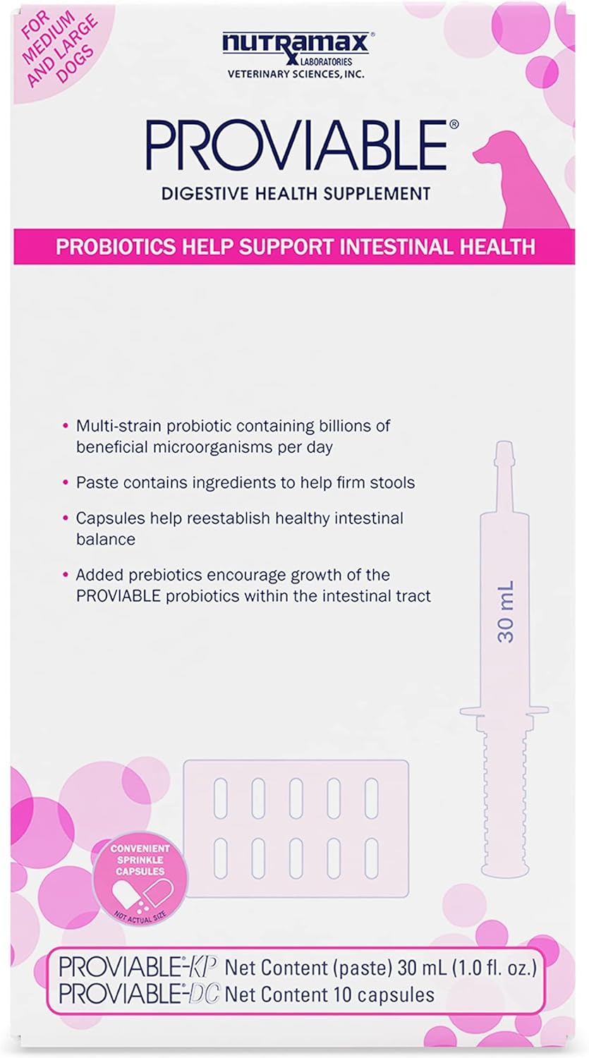 Nutramax Proviable Digestive Health Supplement Kit With Multi-Strain Probiotics And Prebiotics For Medium To Large Dogs - With 7 Strains Of Bacteria, 30 Ml Paste And 10 Capsules
