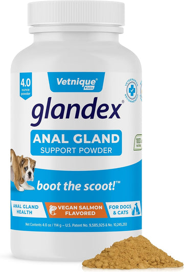 Glandex Dog Fiber Supplement Powder for Anal Glands with Pumpkin, Digestive Enzymes & Probiotics - Vet Recommended Healthy Bowels and Digestion - Boot The Scoot (Vegan Salmon, 4.0oz Powder)