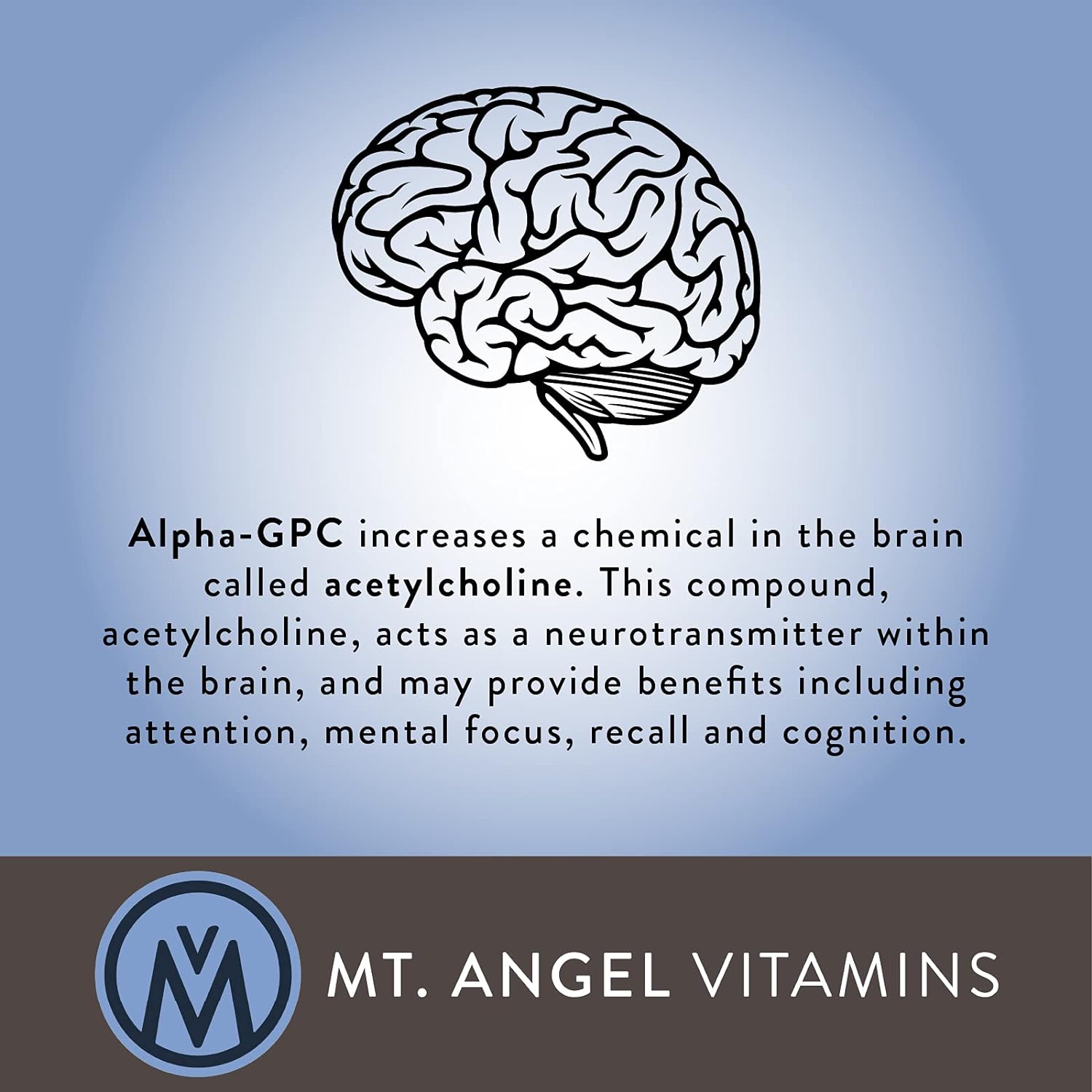 Mt. Angel Vitamins - Brain Nutrients : Health & Household