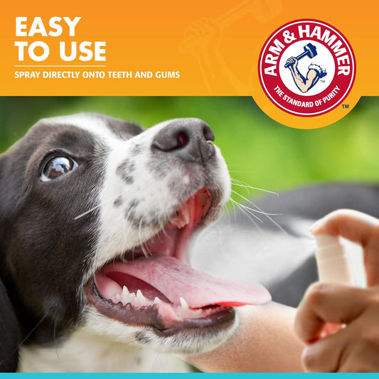 Arm & Hammer for Pets Fresh Breath Dental Spray for Dogs | Easy and Effective Way to Reduce Plaque & Tartar Buildup Without Brushing, 4 Ounces - 24 Pack, Mint Flavor