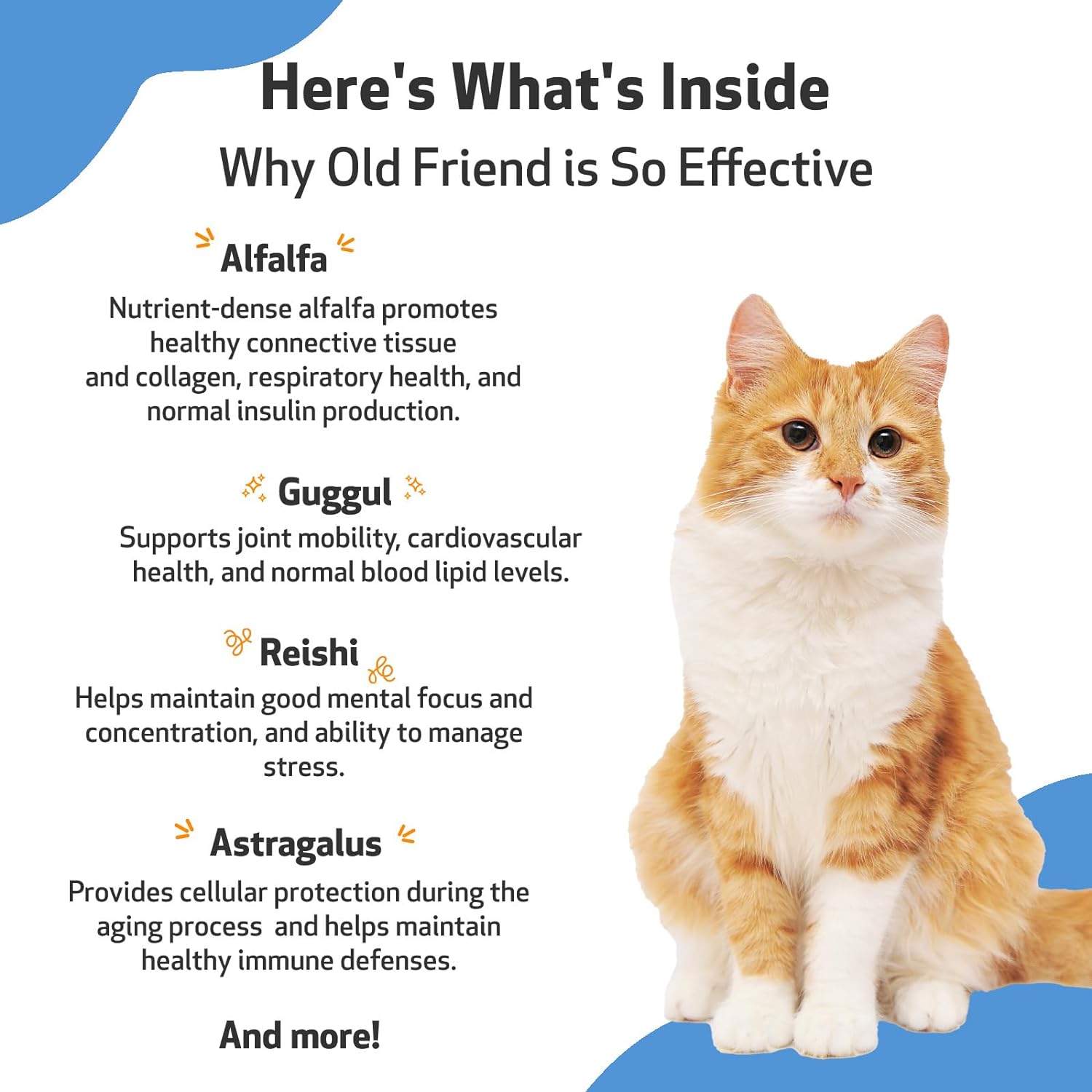 Pet Wellbeing Old Friend for Senior Cats - Vet-Formulated - Aging Immune System & Joint Mobility Support in Older Felines - Natural Herbal Supplement 2 oz (59 ml) : Pet Supplies