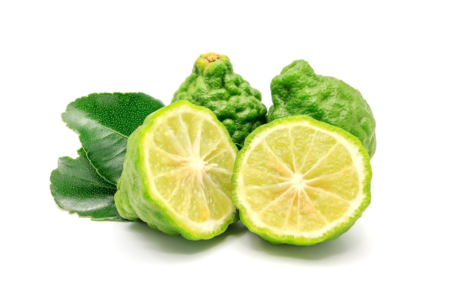 Us Organic Castor Oil, Usda Certified Organic,Expeller Pressed, Hexane Free, 100% Pure & Natural Moisturizing And Emollient Properties, For Skin, Hair Care, Eyelashes, Diy Projects (4 Oz (115 Ml)) : Beauty & Personal Care