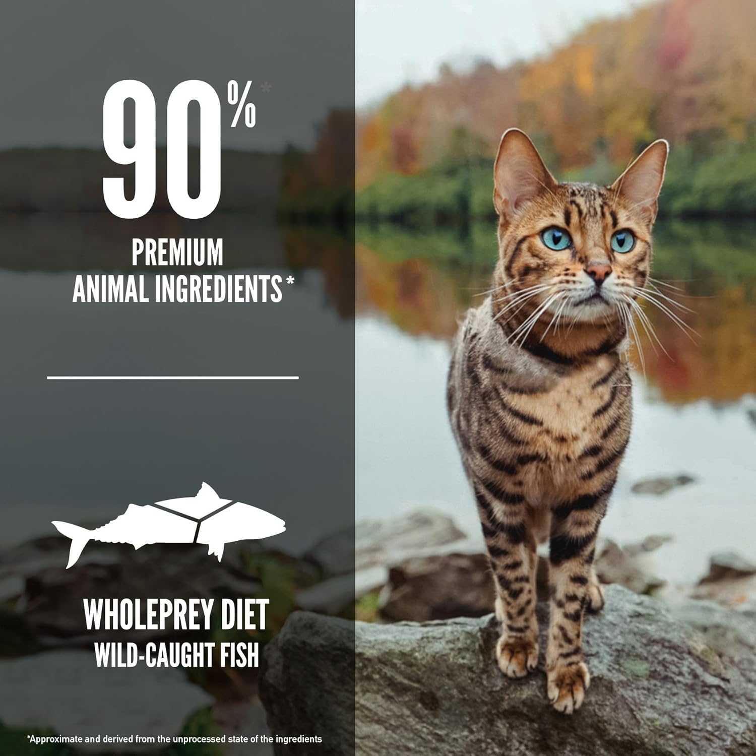 ORIJEN Six Fish Cat 7LB : Pet Supplies