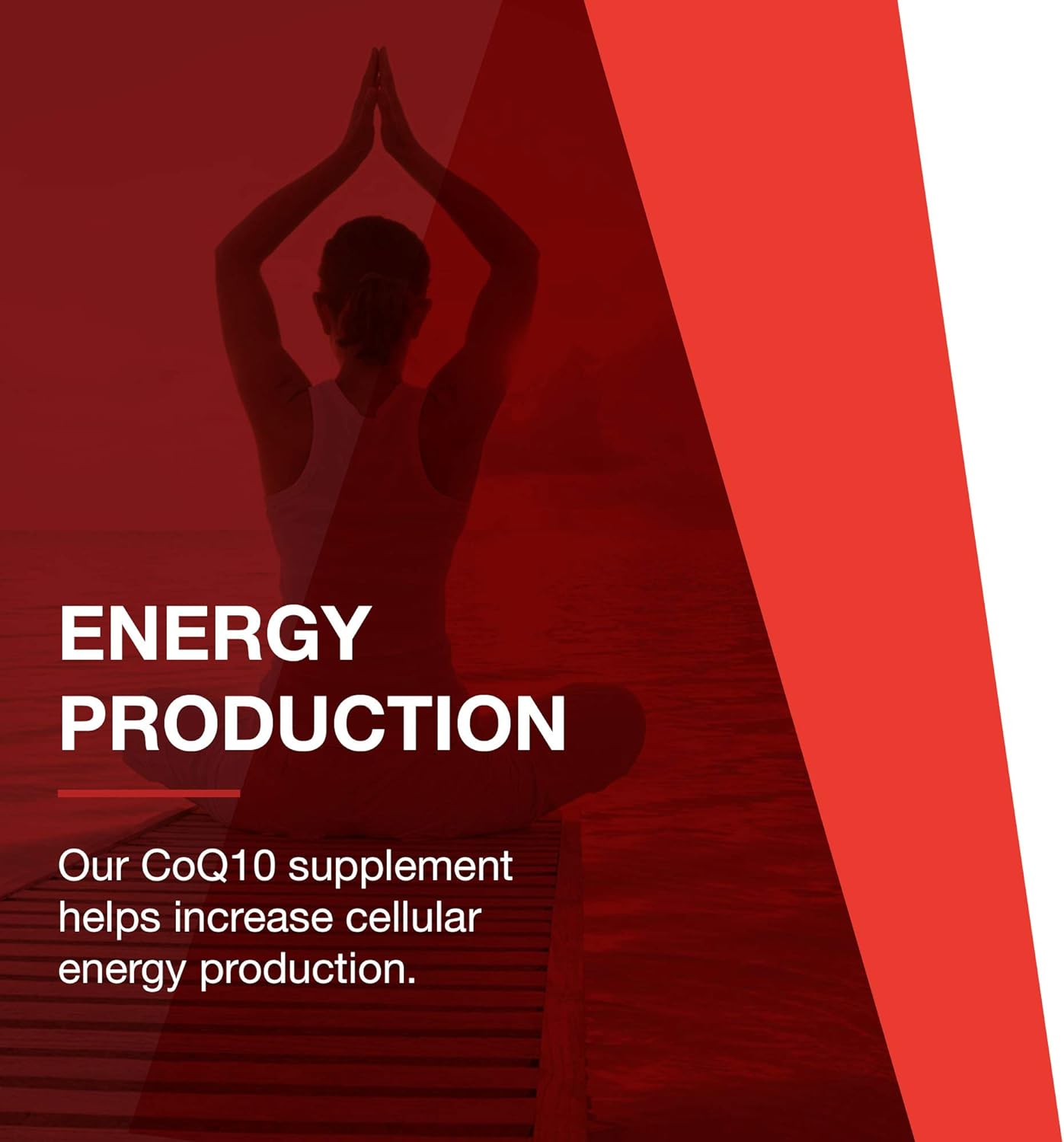 Protocol CoQ10 600mg with Vitamin E - Antioxidant Supplement and Heart Health Support - 60 Softgels : Health & Household