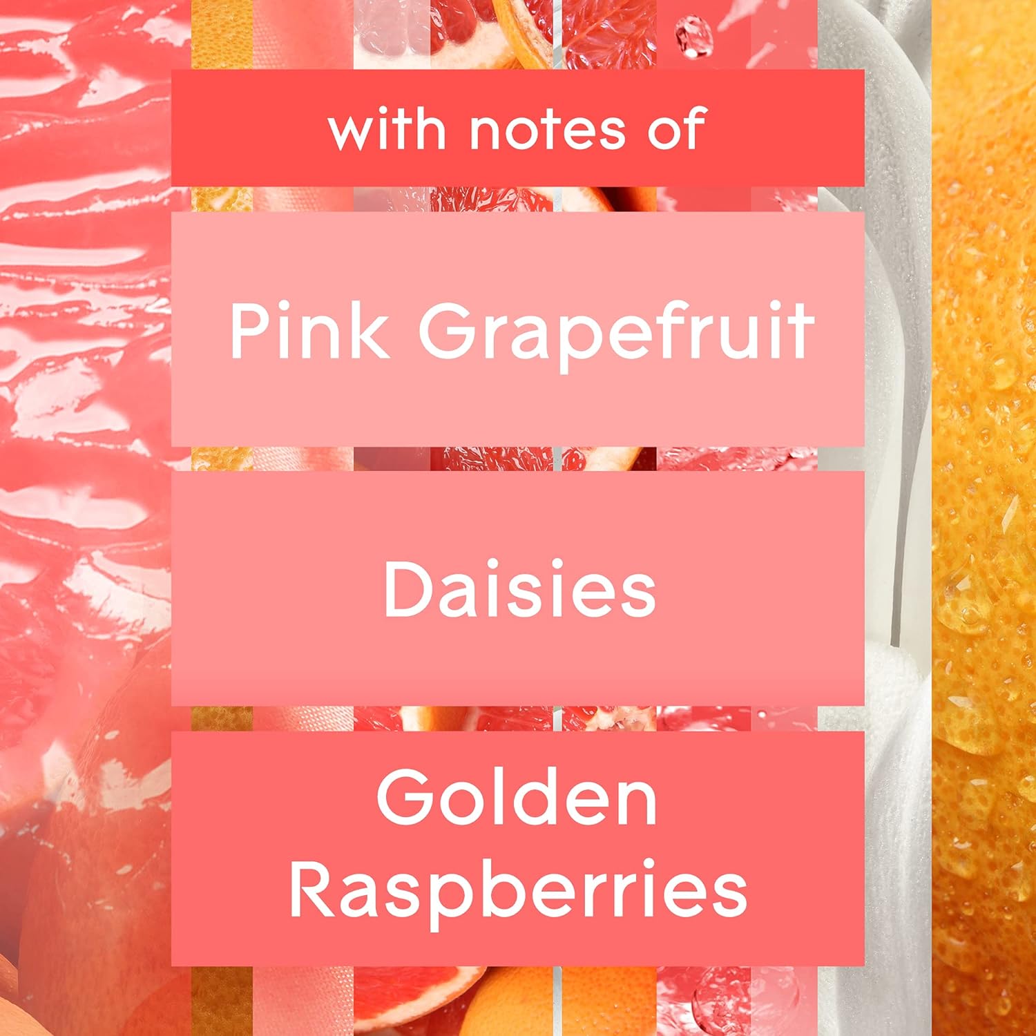 Glade Air Freshener, Room Spray, Joyful Citrus & Daisies, 8 Oz, 12 Count : Home & Kitchen
