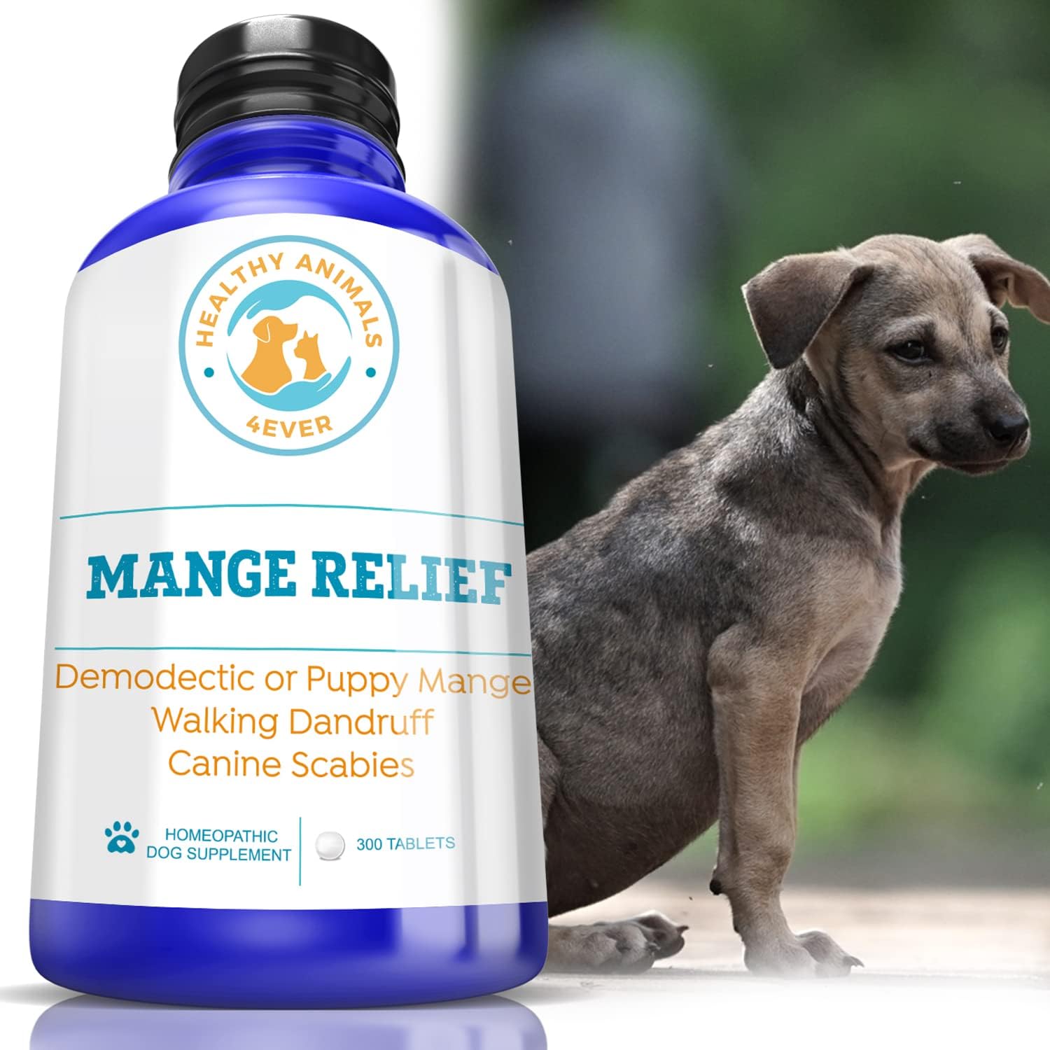Healthy Animals 4 Ever Mange Relief for Dogs - Treatment for Itchiness, Scabs, & Hair Loss Caused by Mites - All-Natural, Homeopathic, Non-GMO, Organic - Gluten, Preservative & Chemical Free - 300 ct