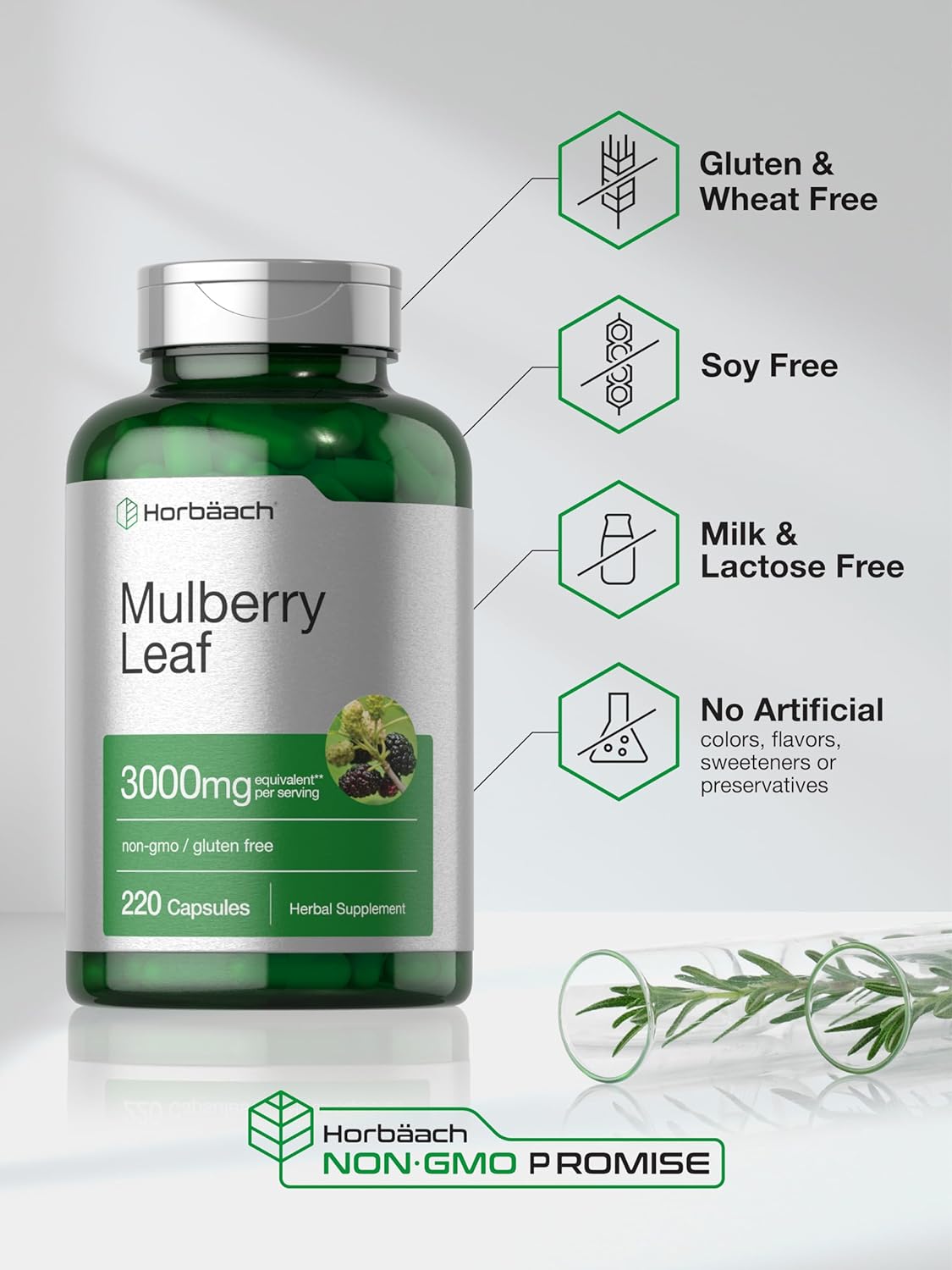 Horbäach Mulberry Leaf Extract Capsules 3000mg | 220 Count | Non-GMO, Gluten Free Herbal Supplement : Health & Household