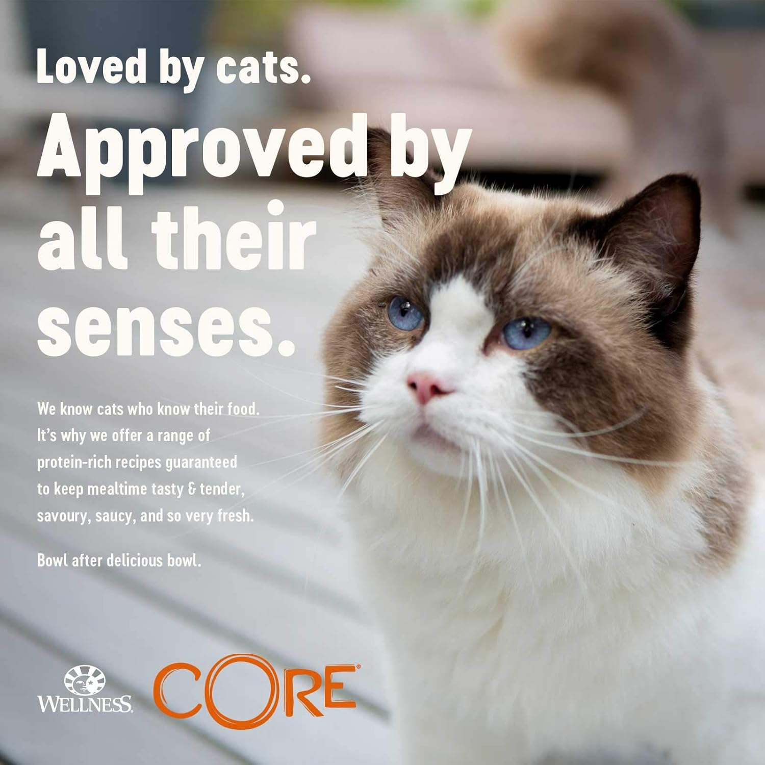 Wellness CORE Signature Selects, Wet Cat Food, Cat Food Wet In Sauce, Grain Free Cat Food, High Meat Content, Shredded Selection Mix, 8 X 79 G :Pet Supplies