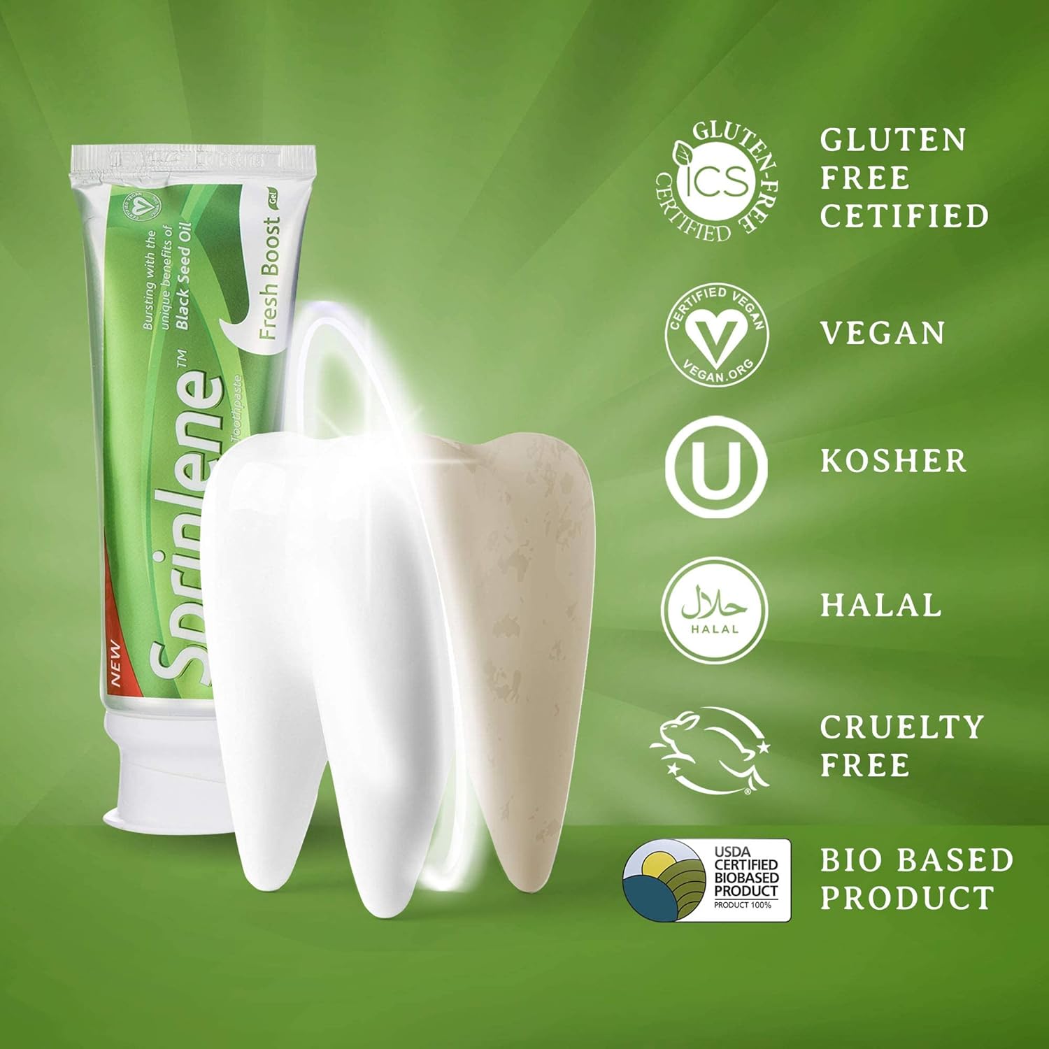 SprinJene Fluoride Toothpaste with Patented Black Seed Oil and Zinc - Certified Vegan, Cruelty-Free, Gluten-Free, Kosher, Halal, Natural Teeth Whitening Toothpaste 2 Pack (Fresh Boost) : Health & Household