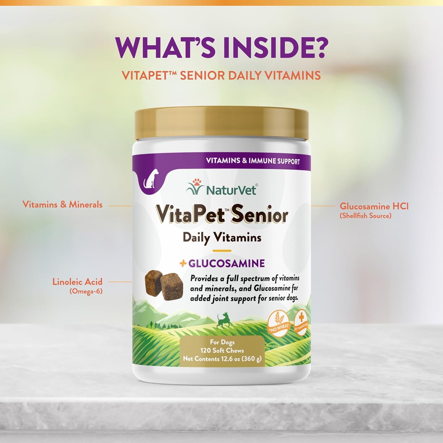 NaturVet VitaPet Senior Daily Vitamin Dog Supplements Plus Glucosamine – Includes Full-Spectrum Vitamins, Minerals – Joint Support for Older, Active Dogs – 120 Ct. Soft Chews : Pet Supplies