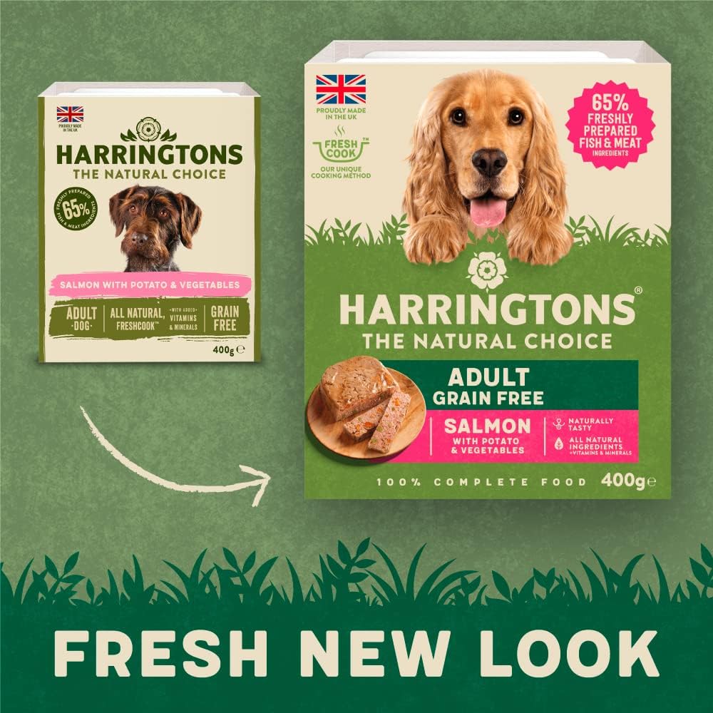 Harringtons Complete Wet Tray Grain Free Hypoallergenic Adult Dog Food Salmon & Potato 8x400g - Made with All Natural Ingredients :Pet Supplies