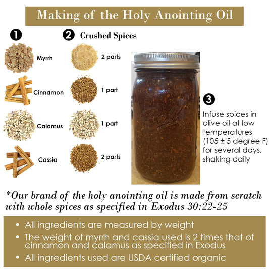 Exodus 30:22-25 Sacred And Holy Anointing Oil, Made From Scratch With Myrrh, Calamus, Cinnamon, Cassia, And Olive Oil Herbal Spices And Essential Oils For Healing Prayers - 1 Fl Oz