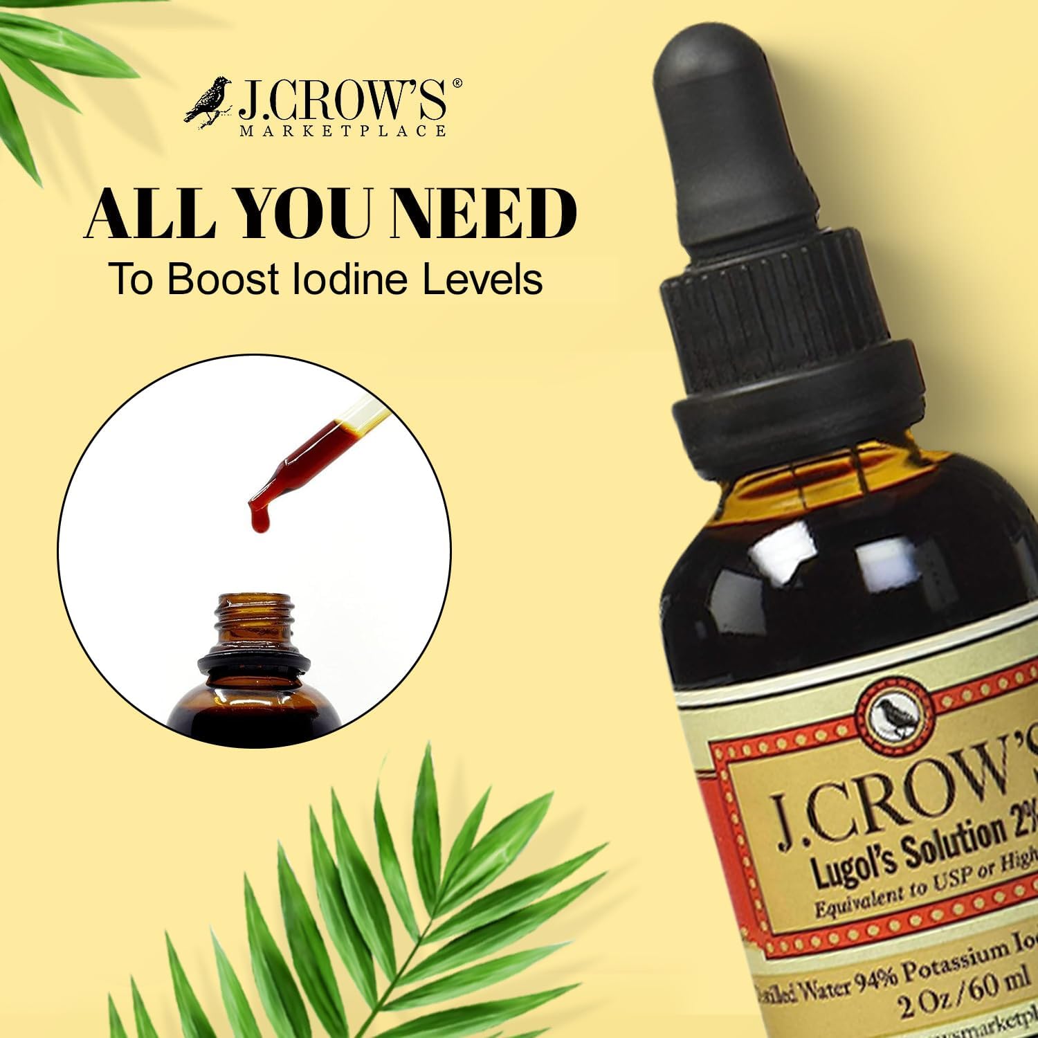 J.Crow's Lugol's Iodine Solution, 2 oz, Twin Pack (2 Bottles) : Health & Household