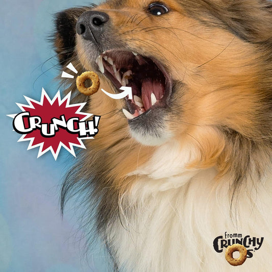 Fromm Crunchy Os Pot Roast Punchers Dog Treats - Premium Crunchy Dog Treats - Beef Recipe - 6 Oz