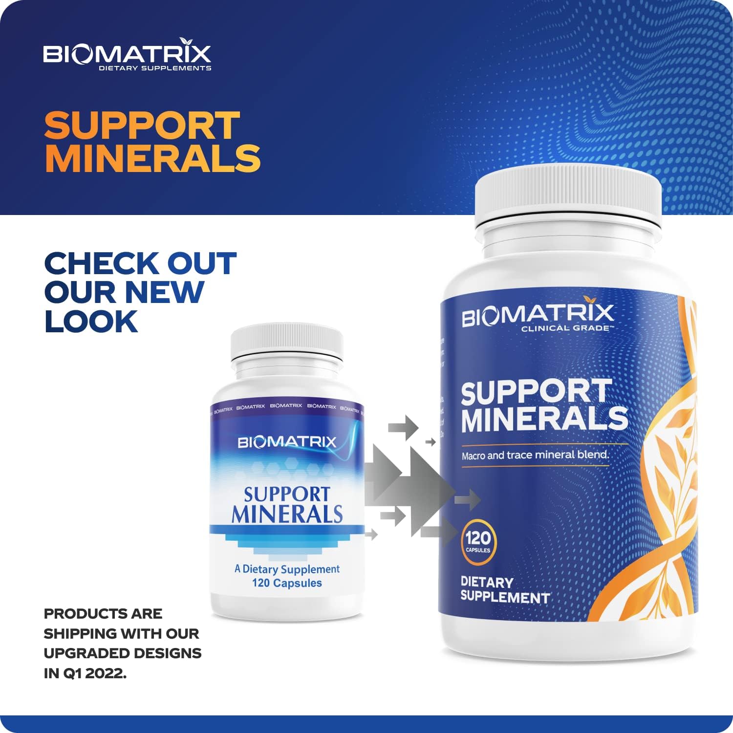Biomatrix Mineral Supplement For Men And Women, Chelated Minerals | Iron-Free, Calcium, Magnesium, Copper, Zinc, Vitamin D, Iodine | Veggie Caps, 30-Day Supply : Health & Household