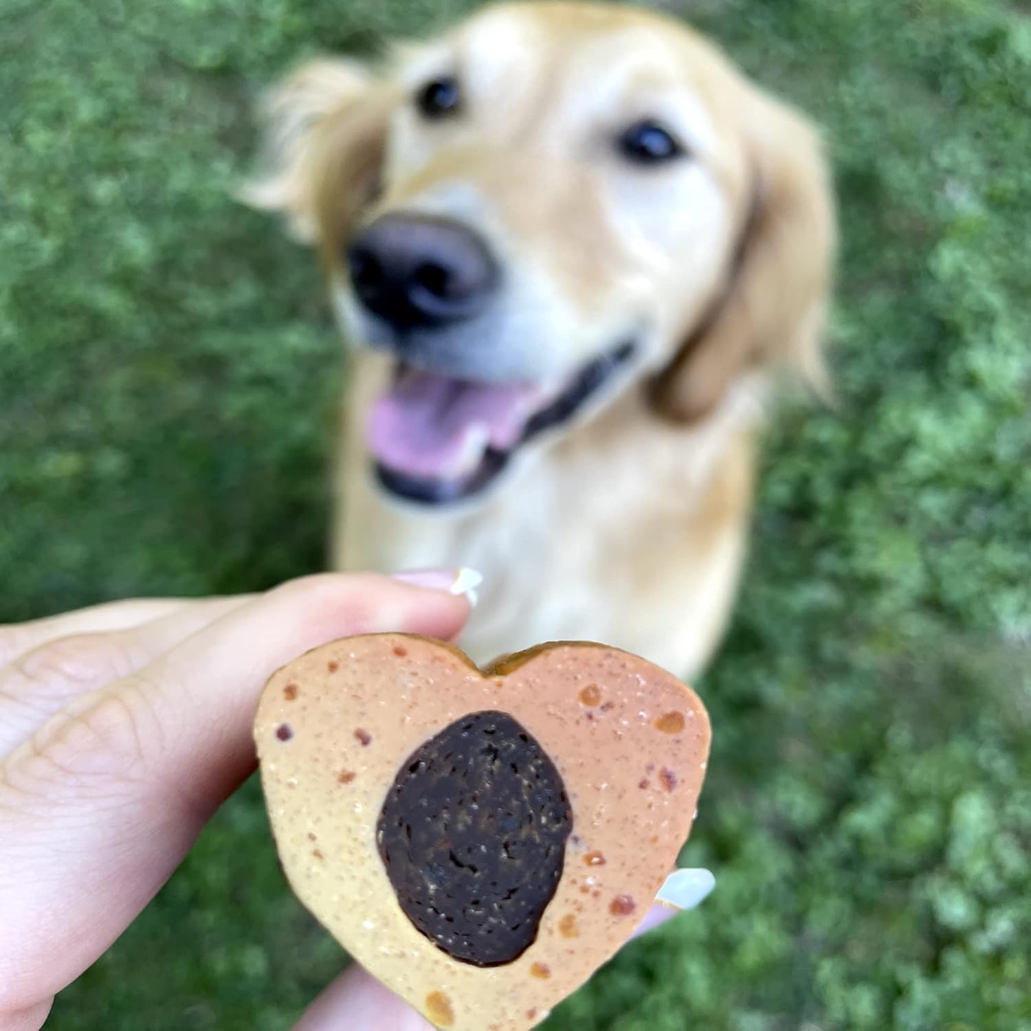 Best Bully Sticks Love Bones - Heart Shaped Chicken Dog Chews - USA Baked & Packed, Easy to Digest, Natural, High Protein - 12 Pack : Pet Supplies