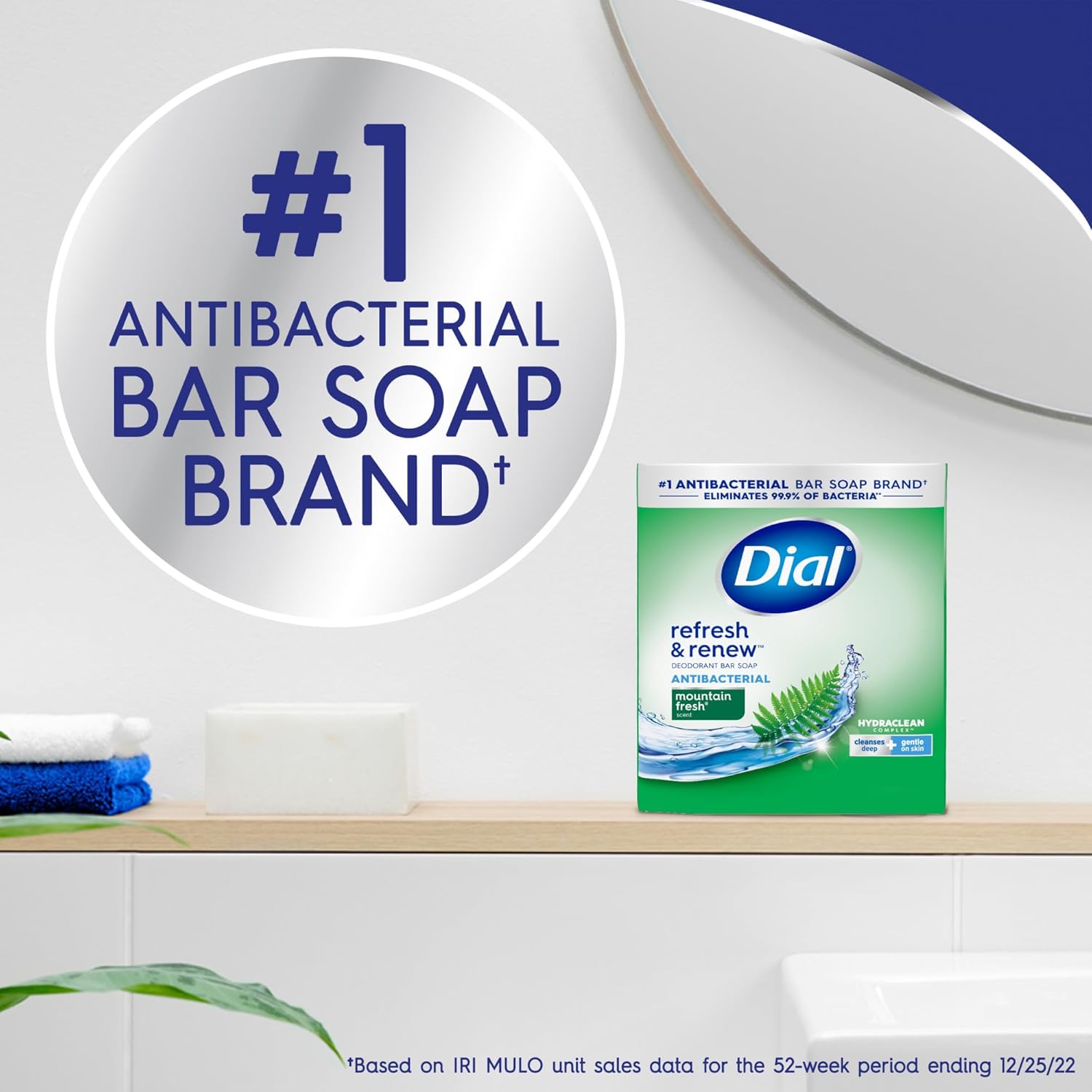 Dial Antibacterial Bar Soap, Refresh & Renew, Mountain Fresh, 4 oz, 32 Bars : Beauty & Personal Care