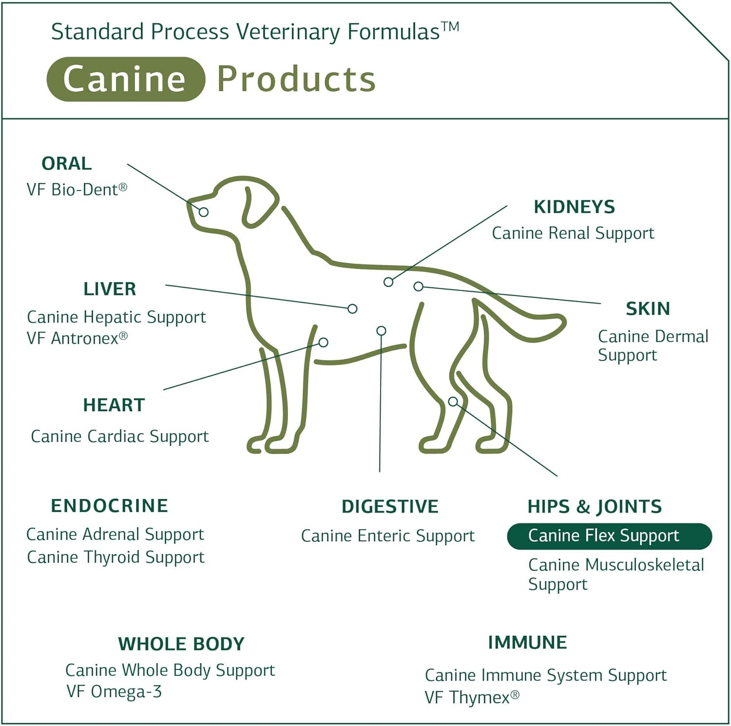 Standard Process Canine Flex Support - Joint & Immune Health Support Supplement for Dogs - Chewable Wafers for Healthy Joint Function Support - Nutritional Whole Food Supplement - 100 wafers : Pet Bone And Joint Supplements : Pet Supplies