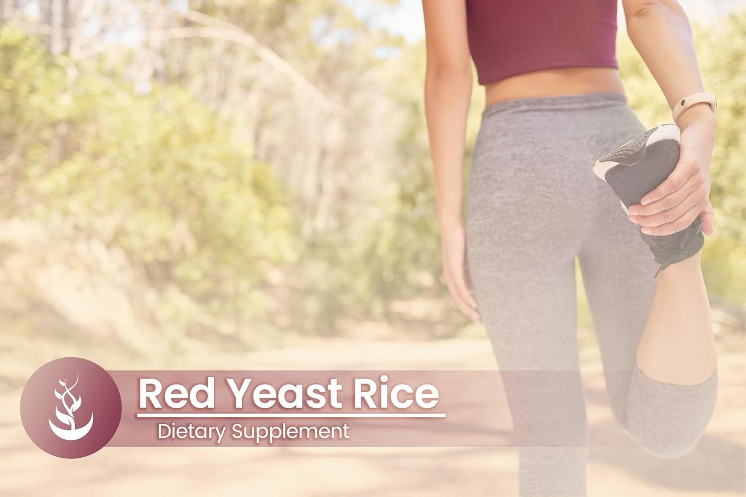 PURE ORIGINAL INGREDIENTS Red Yeast Rice Extract, (100 Capsules) Always Pure, No Additives Or Fillers, Lab Verified : Health & Household