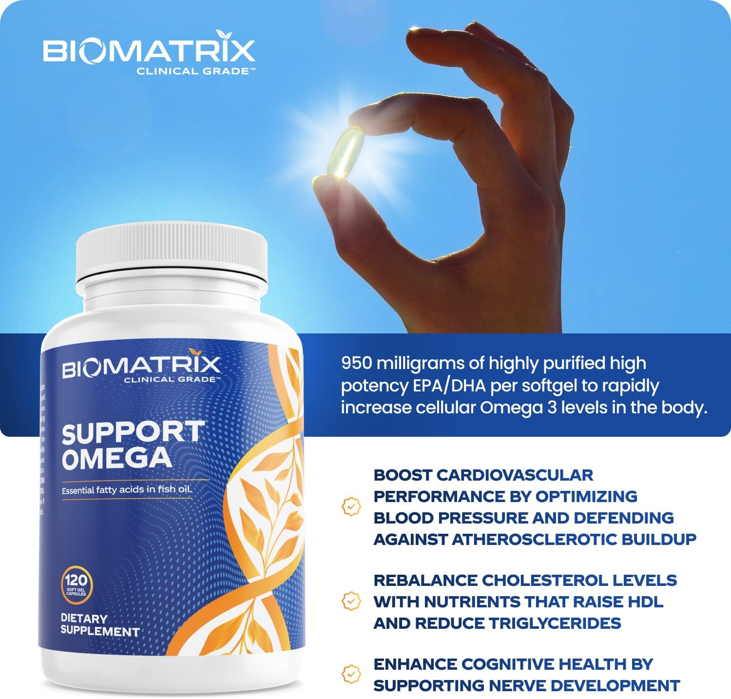 Support Omega (120 Gel Capsules) Omega 3 Fish Oil Supplement - Cardiovascular, Musculoskeletal Support : Health & Household
