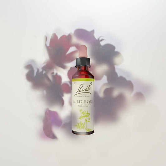 Bach Original Flower Remedies (Chestnut Bud) Live The Day, Learn From Mistakes, Emotional Wellness, Natural Flower Essence, 20Ml (Pack Of 5)