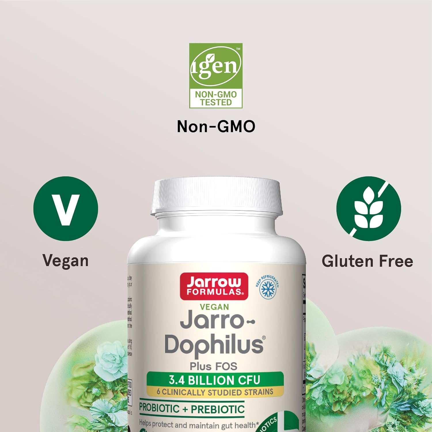 Jarrow Formulas Jarro-Dophilus + FOS - 3.4 Billion CFU Per Serving - Prebiotic & Probiotics Supplement for Immune & Intestine Support - Up to 100 Servings (Veggie Caps) : Health & Household