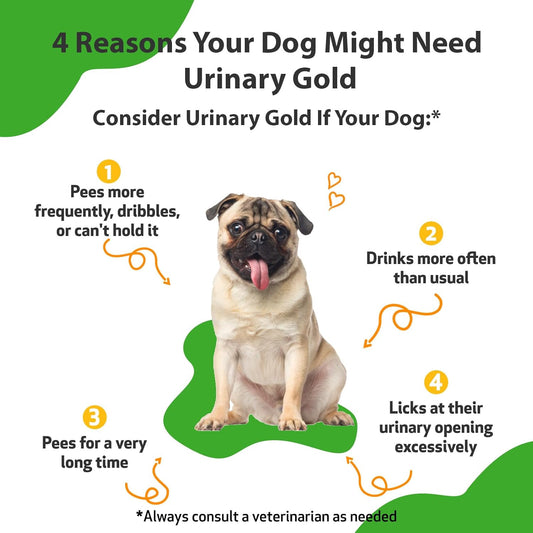 Pet Wellbeing Urinary Gold For Dogs - Supports Urinary Tract Health, Normal Urinary Ph - Veterinarian-Formulated Herbal Supplement 2 Oz (59 Ml)
