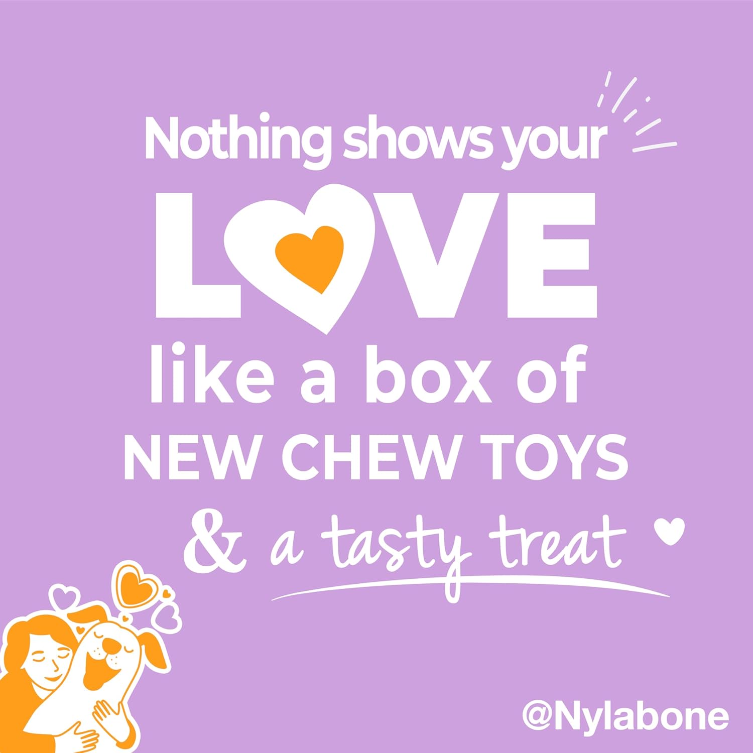 Nylabone Dog Toy Gift Box, Includes 3 Strong Chew Toys and 1 Dog Treat, Chew Toys for Small Dogs, Small/Regular (4 Count)